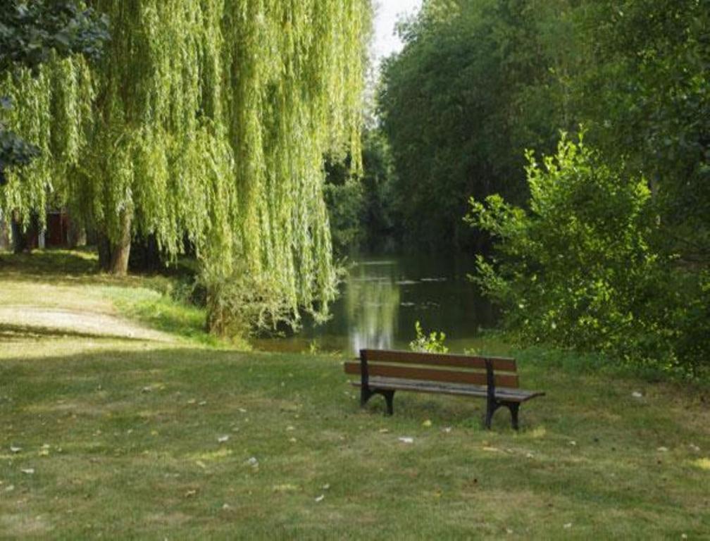 Le Clos Du Murier Chassignelles Exteriér fotografie