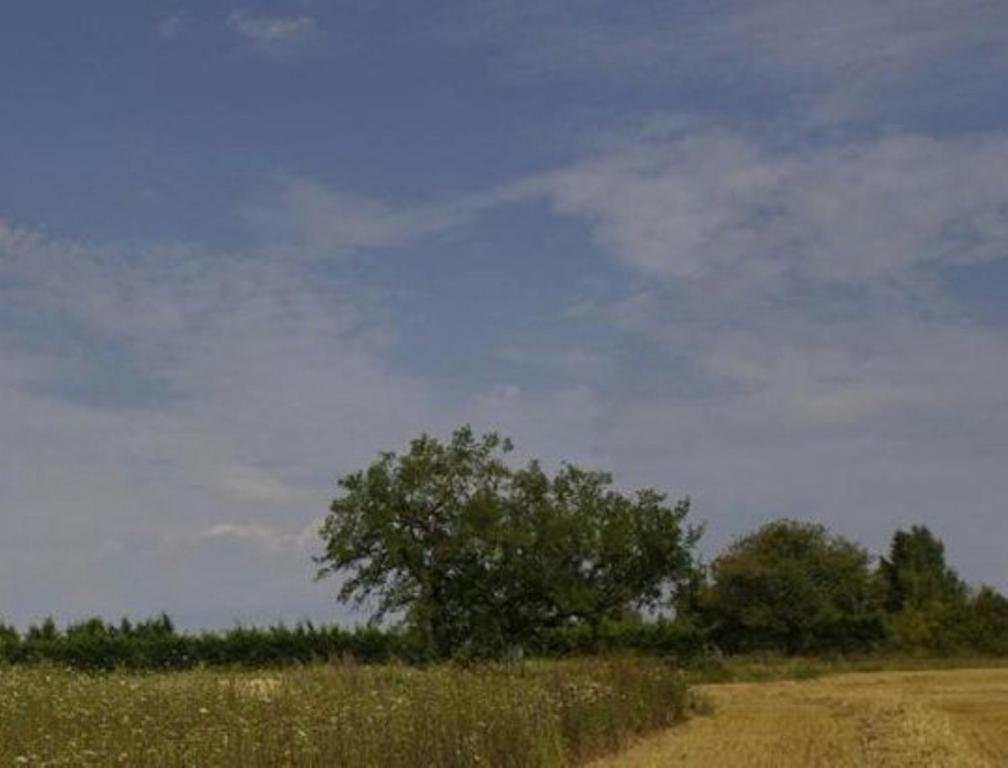 Le Clos Du Murier Chassignelles Exteriér fotografie